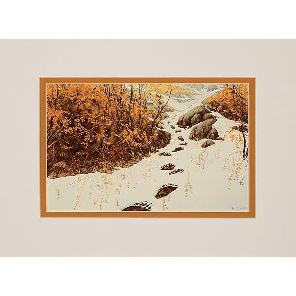 The Art of Bev Doolittle (Hardback) - Common: Bev Doolittle